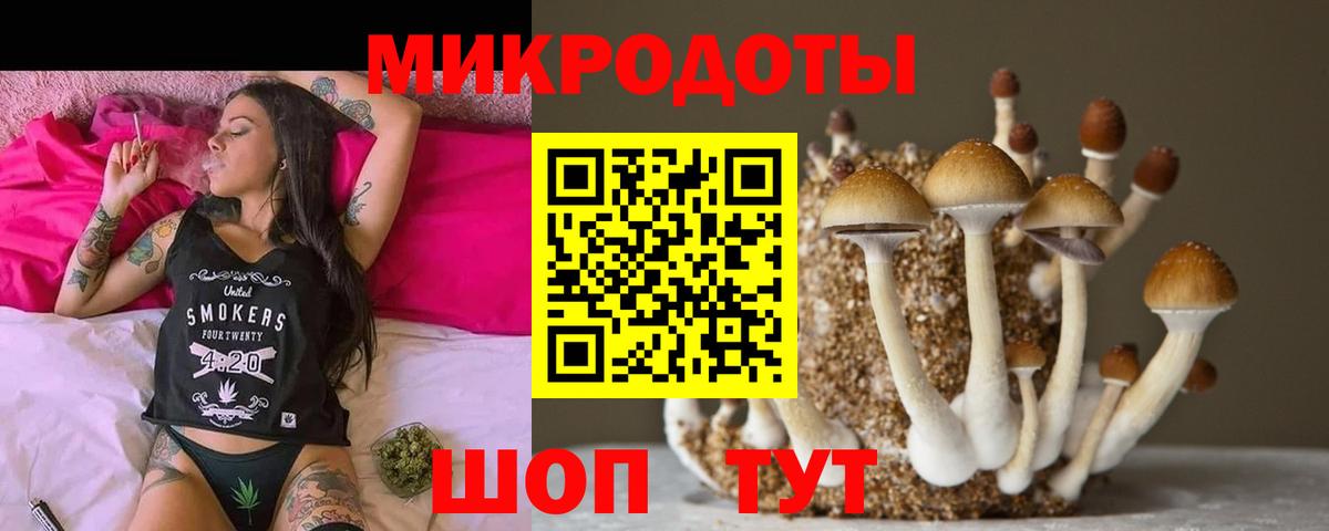 Галлюциногенные грибы мицелий Дедовск